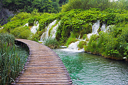 小路,十六湖国家公园,克罗地亚,欧洲