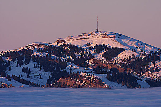 山,冬天,高处,雾气,瑞士,欧洲