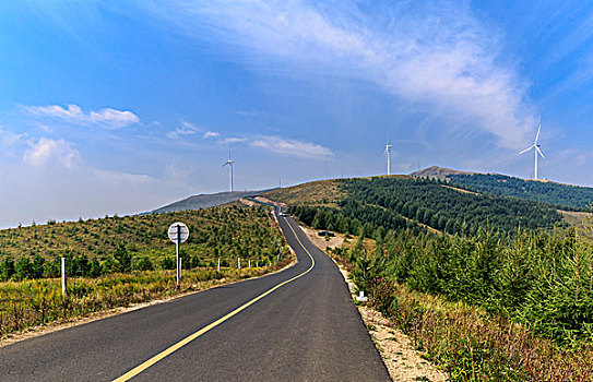 弯道,柏油路,公路,道路,草原