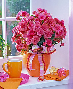 秋海棠,橙色,种植器皿,窗台