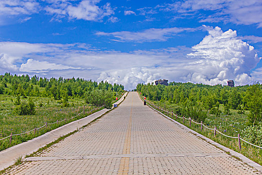 道路