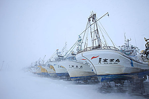 渔业,港口,暴风雪