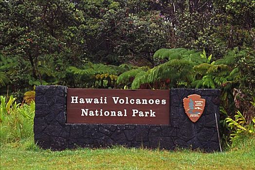 夏威夷,夏威夷大岛,夏威夷火山国家公园,标识,进入,蕨类,雨林,后面