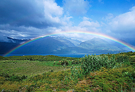 彩虹,上方,瓦纳卡湖,南岛,新西兰