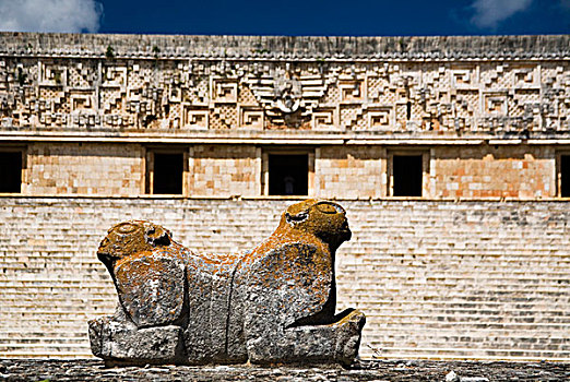 墨西哥,尤卡坦半岛,乌斯马尔,大,前哥伦布时期,毁坏,城市,玛雅,文明