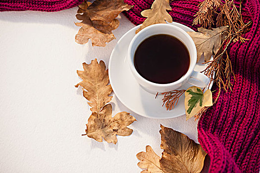 杯子,红茶,秋叶,毛织品,布,白色背景,背景