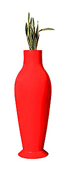 红色,花瓶