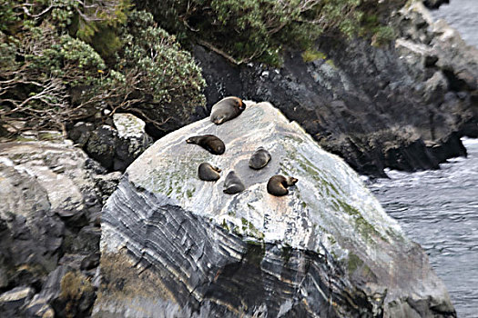 米弗峡湾