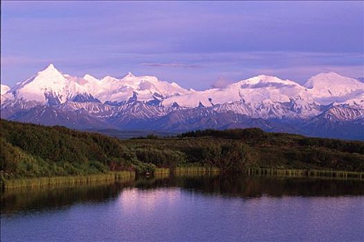 湖,山,溪流,阿拉斯加山脉,德纳里国家公园,室内,夏天,景色