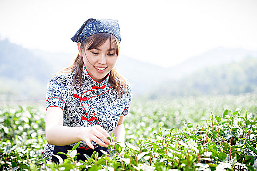 亚洲人,漂亮,女孩,种植园