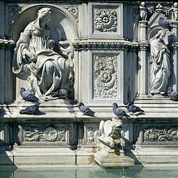 鸽子,喷泉,坎波广场,锡耶纳,托斯卡纳,意大利