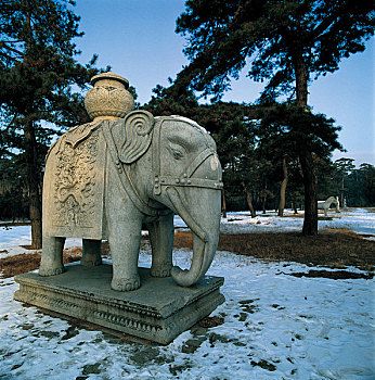 河北易县清西陵内的泰陵神道上的石象