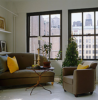 软垫,弯曲,沙发,扶手椅,装饰,小,会客区,大窗,上方,纽约