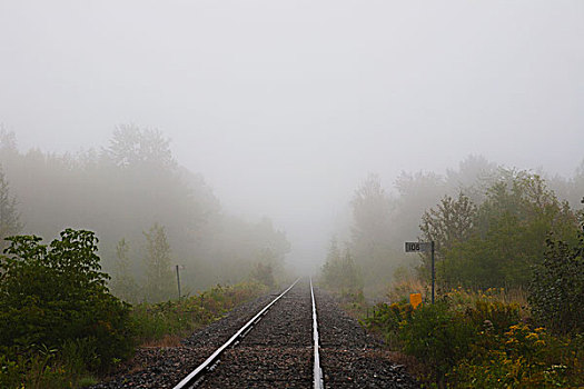 雾状,早晨,铁轨,魁北克,加拿大