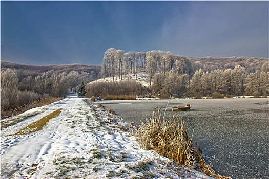 冰冻,湖,冬季风景,克罗地亚