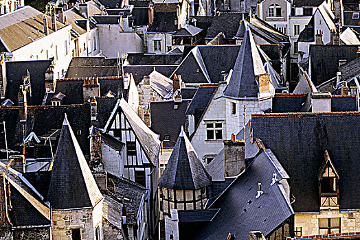 法国,中心,卢瓦尔河,希侬,屋顶,俯视