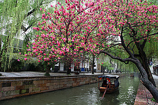 南浔,古镇,建筑,江南,水乡,小桥,桥梁,河流,河道,渔舟,渔船,小巷,风情,风光,旅游,景点,繁华,热闹,古色古香