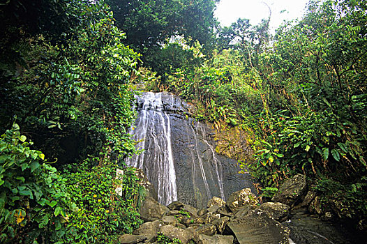 瀑布,加勒比,国家森林,卢基利奥,山,波多黎各