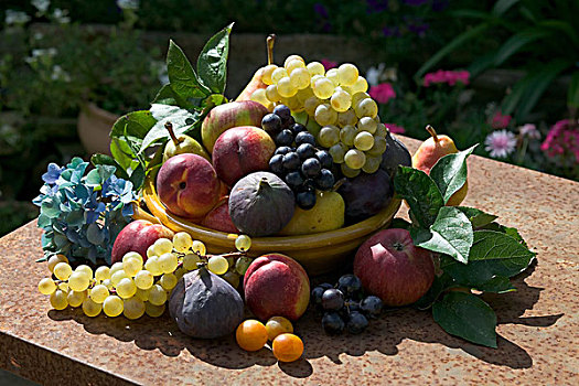 季节,静物,种类,秋天,水果,黄色,碗,蓝色,绣球花,生锈,花园桌