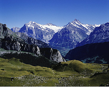 伯尔尼阿尔卑斯山,少女峰,瑞士
