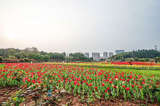 湖南省森林植物园风光美景