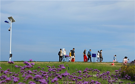 山东省日照市,游客漫步阳光海岸,看大海游花海吹海风享受惬意生活