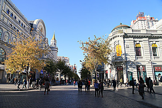 2014年10月20日哈尔滨城市建设商店美景