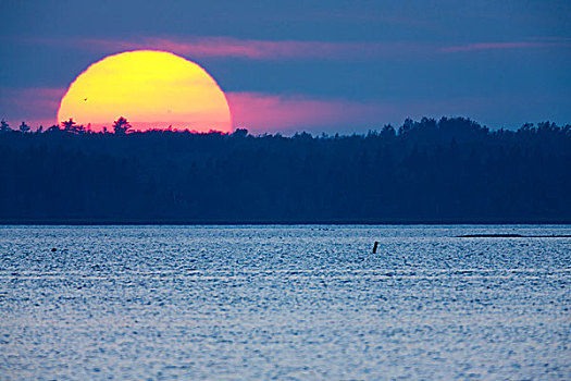 日落,上方,岛屿,爱德华王子岛,加拿大