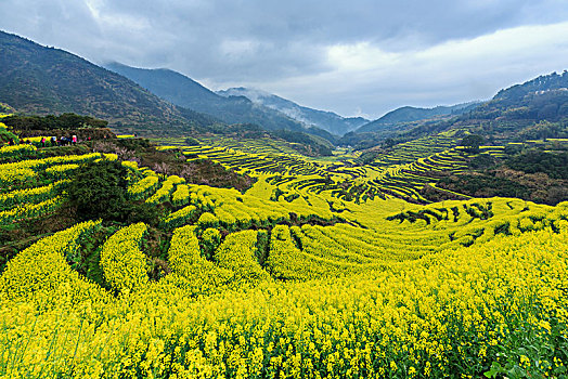 画里乡村篁岭