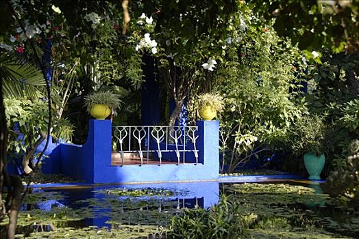 蓝色,平台,水塘,隐藏,绿色,植物,花园,马若雷尔花园,玛拉喀什,摩洛哥
