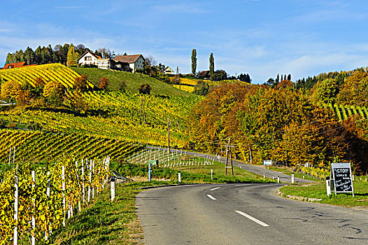 南方,葡萄酒,路线,奥地利