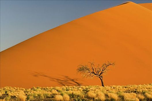 沙丘,风景,索苏维来地区,日落,纳米比亚,非洲