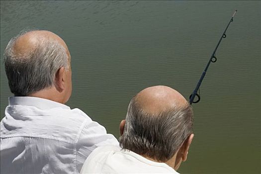 后視圖,兩個,老人,釣魚