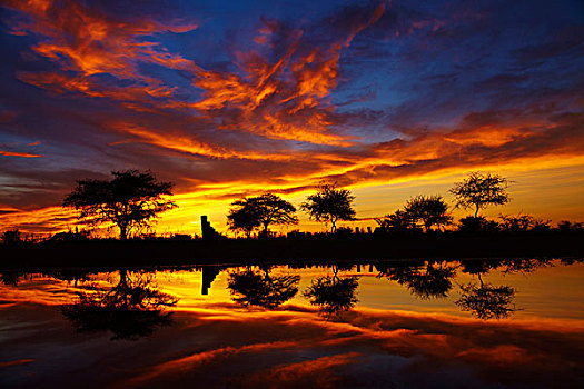 日出,休息,露营,埃托沙国家公园,纳米比亚,非洲