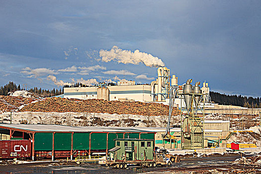 纸浆厂,不列颠哥伦比亚省