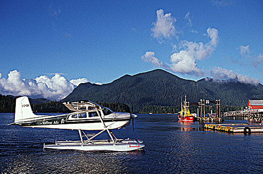 太平洋沿岸,水上飞机,港口,温哥华岛,不列颠哥伦比亚省,加拿大