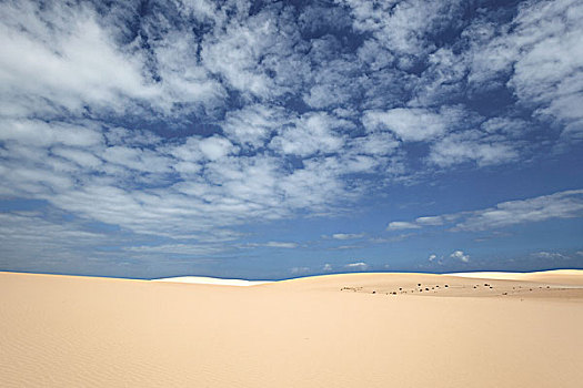 沙丘,蓝天,云,科拉莱霍,自然公园,富埃特文图拉岛,加纳利群岛,西班牙,欧洲