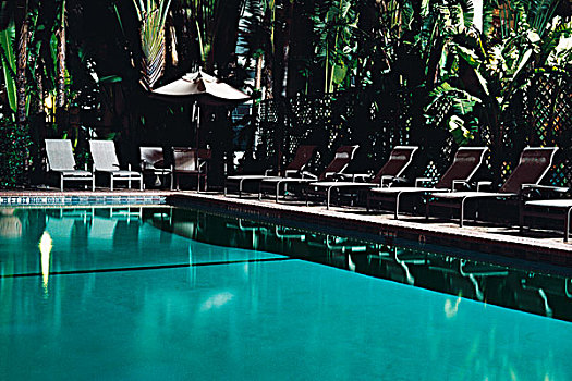 空,游泳,游泳池,棕榈树,树,太阳,躺椅,迈阿密,佛罗里达,美国