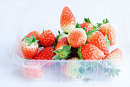 草莓,装在,透明的,保鲜盒