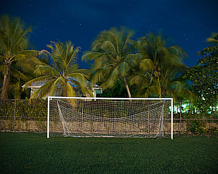 球门,地点,棕榈树,黄昏