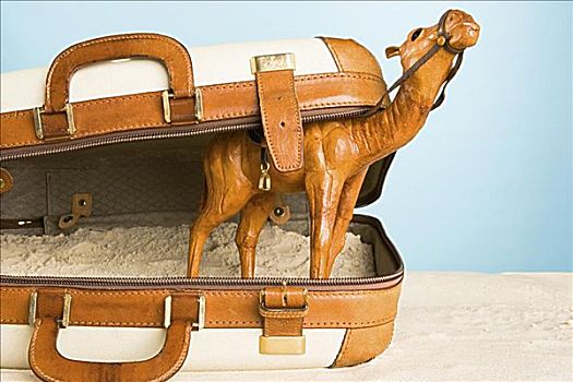 骆驼,装饰,手提箱