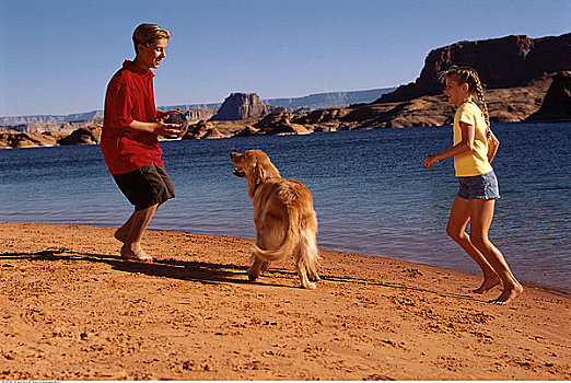 男孩,女孩,海滩,狗,鲍威尔湖,亚利桑那,美国
