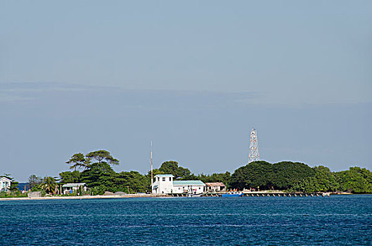 伯利兹,溪流,海洋,海景,猎捕