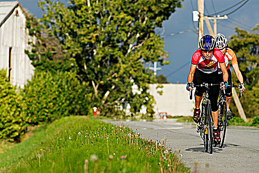 道路,骑自行车,低湿地,里士满,不列颠哥伦比亚省,加拿大