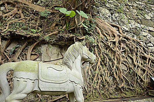 老,马,雕塑,户外,中国寺庙,湾仔,香港