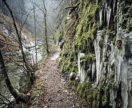 冰柱,徒步旅行,峡谷,靠近,上巴伐利亚,德国
