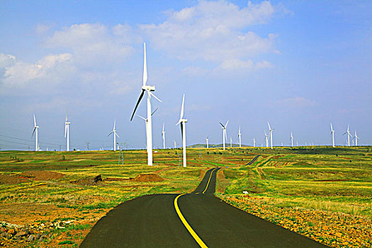 草原柏油路风车