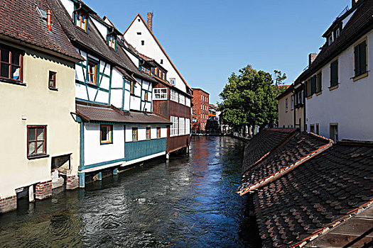 鱼,盒子,河,上弗兰科尼亚,弗兰克尼亚,巴伐利亚,德国,欧洲
