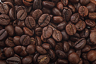 咖啡种植图片