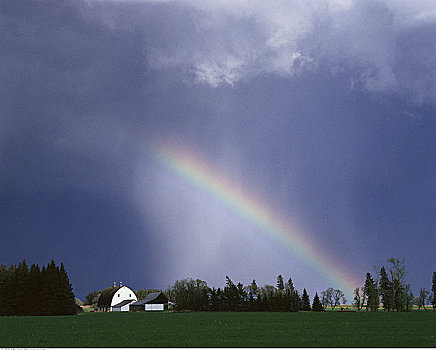 彩虹,上方,农场,荷兰,曼尼托巴,加拿大